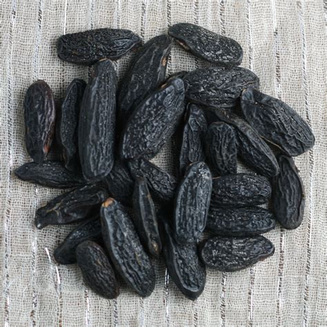 are tonka beans legal in canada|More.